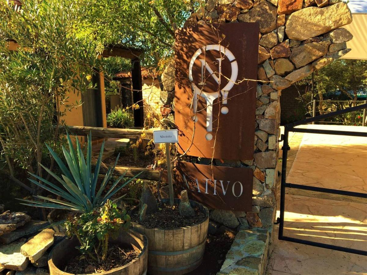 Suites Nativo - Beautiful Vineyard & Valley View Valle de Guadalupe Zewnętrze zdjęcie